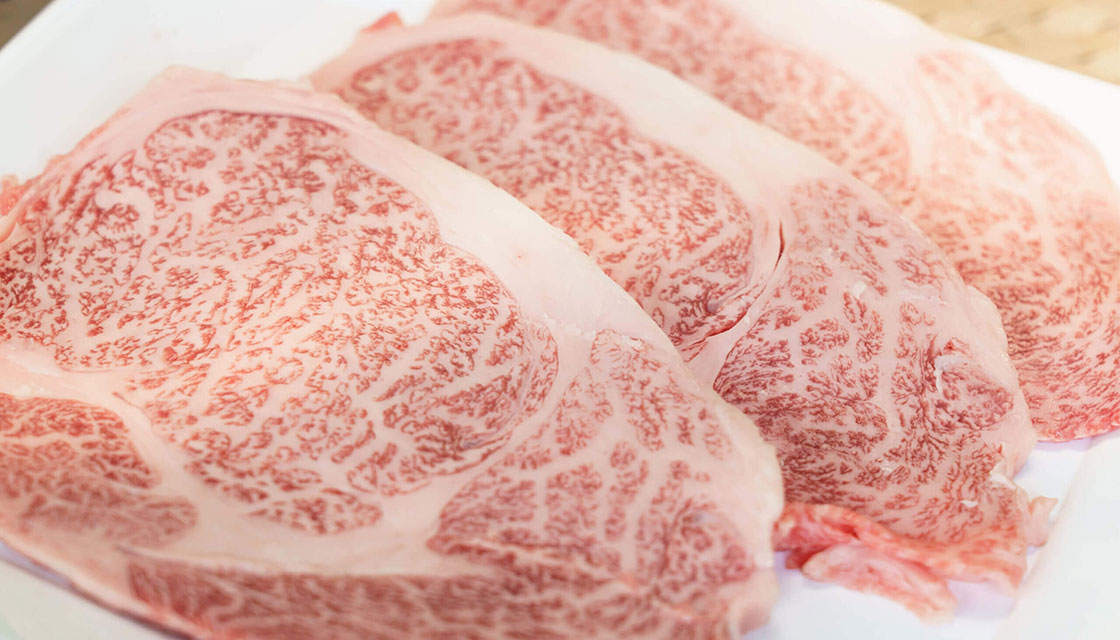 信州経ヶ岳高原キャンプ場